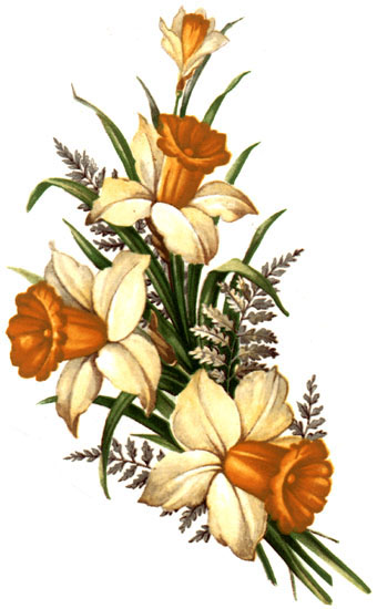 Decals for White Ware - Florals - National Artcraft